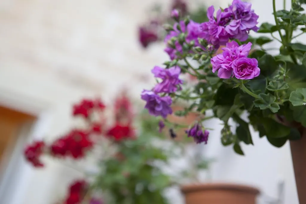 19Venti Bed & Breakfast Lecce